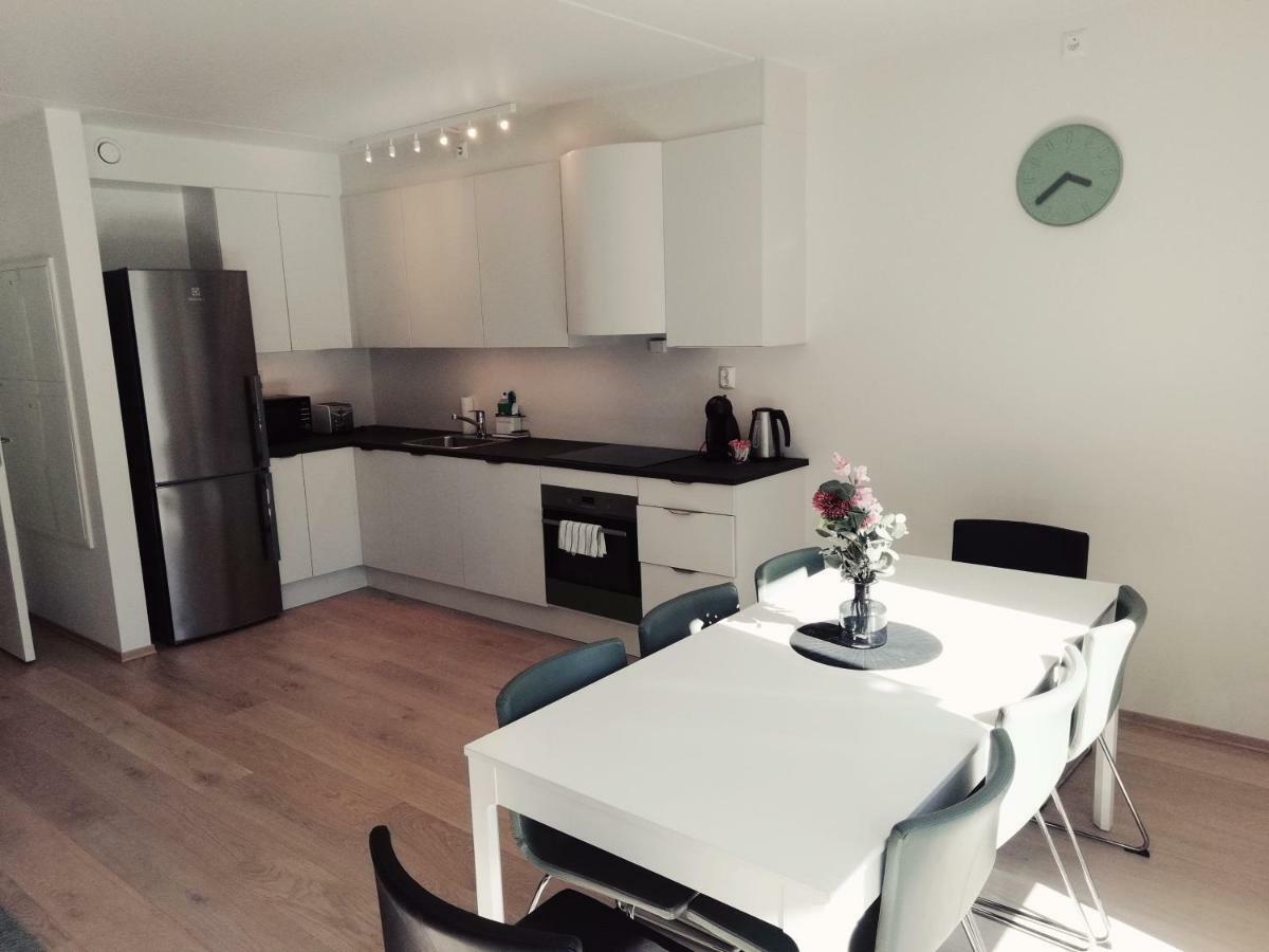 Sonderland Apt- Platous Gate 29 Apartment